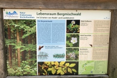 230617_Samstag-139