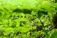 230617_Samstag-143