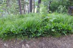230617_Samstag-15