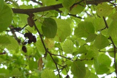 230617_Samstag-178