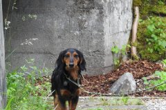 230617_Samstag-198
