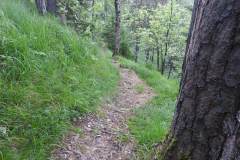 230617_Samstag-20
