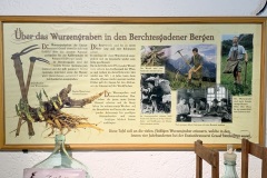 230617_Samstag-217
