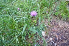230617_Samstag-22