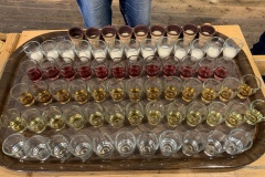 230617_Samstag-221