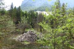 230617_Samstag-226