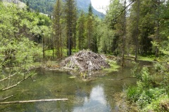230617_Samstag-227
