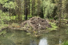 230617_Samstag-229
