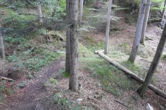 230617_Samstag-24