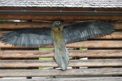 230617_Samstag-270