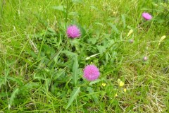 230617_Samstag-277