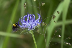 230617_Samstag-284