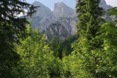 230617_Samstag-298
