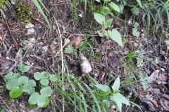 230617_Samstag-30