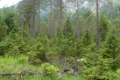 230617_Samstag-311