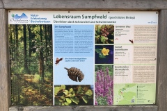 230617_Samstag-57