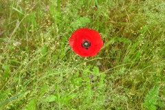 230617_Samstag-60