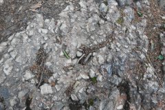 230617_Samstag-7