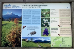 230617_Samstag-99