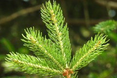 Sonntag_230618-141