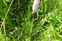 Sonntag_230618-16