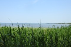 Sonntag_230618-160