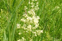 Sonntag_230618-170