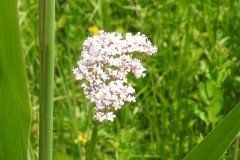 Sonntag_230618-172
