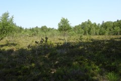 Sonntag_230618-19