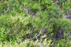 Sonntag_230618-20