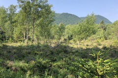 Sonntag_230618-22
