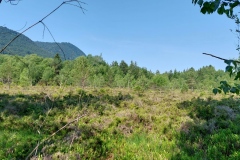 Sonntag_230618-23