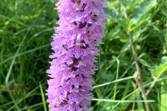 Sonntag_230618-24