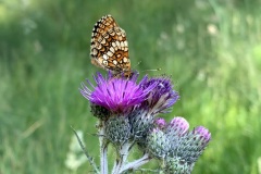Sonntag_230618-26