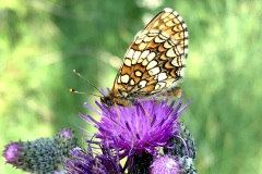 Sonntag_230618-28