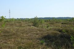 Sonntag_230618-43
