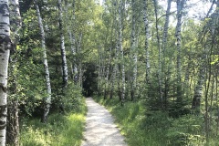Sonntag_230618-50