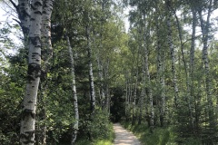 Sonntag_230618-51