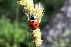 Sonntag_230618-55