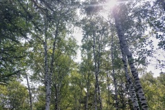 Sonntag_230618-57