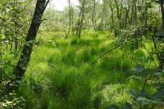 Sonntag_230618-62