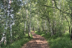 Sonntag_230618-78