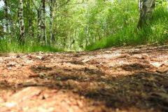 Sonntag_230618-86