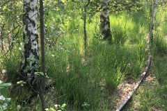 Sonntag_230618-89