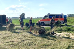 230823_Mähgutübertragung