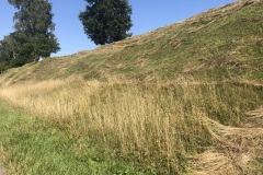 230823_Leitn-1