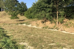 230823_Leitn-119