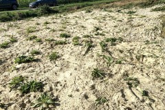 230823_Leitn-27
