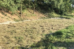 230823_Leitn-59