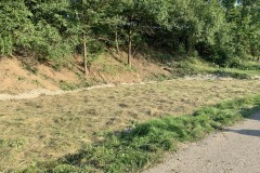 230823_Leitn-60